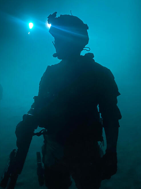 Hostage Rescue